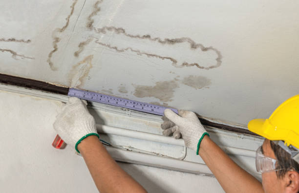 Reliable Burst Pipe Cleanup contractor in Crockett Mills, TN by Water Damage Irwin